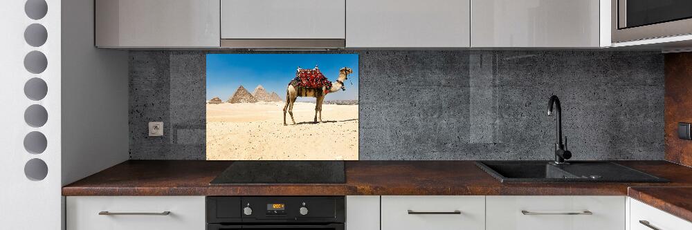 Kitchen splashback A camel in Cairo