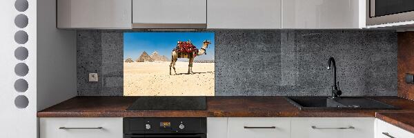 Kitchen splashback A camel in Cairo