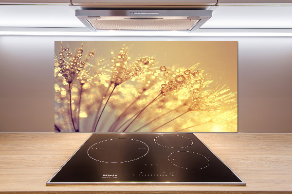 Cooker splashback Dandelion seeds