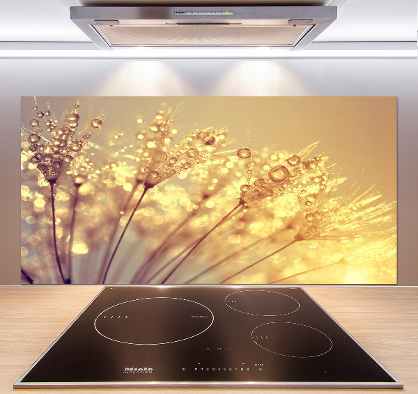 Cooker splashback Dandelion seeds