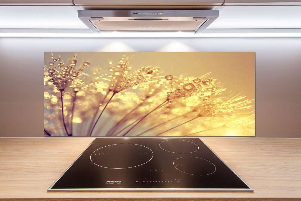 Cooker splashback Dandelion seeds