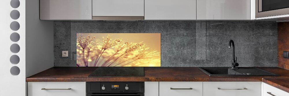 Cooker splashback Dandelion seeds