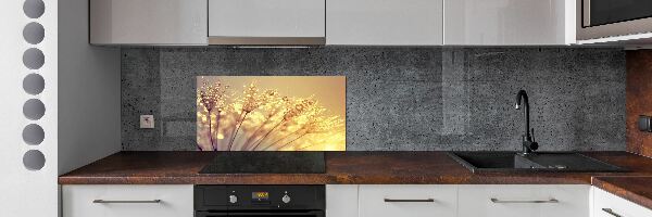 Cooker splashback Dandelion seeds