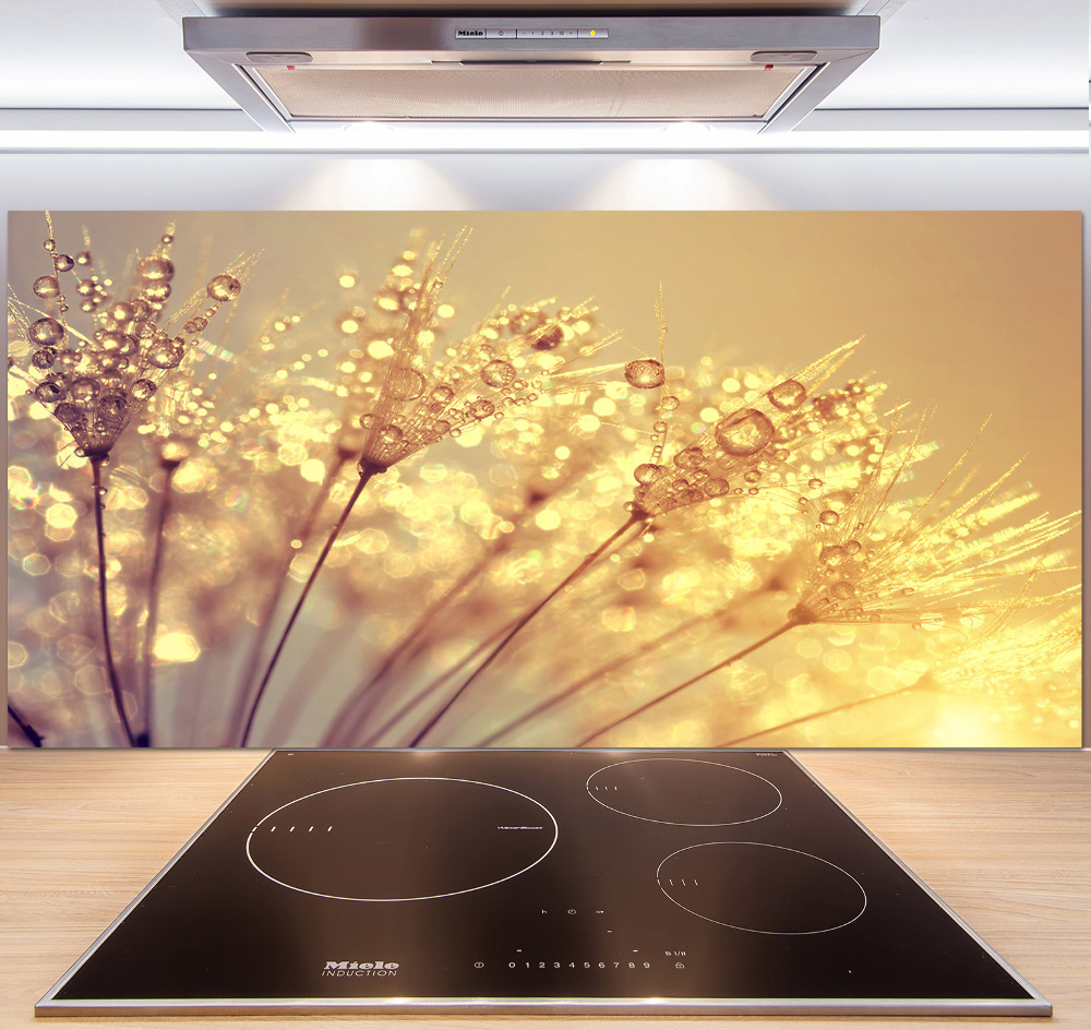 Cooker splashback Dandelion seeds