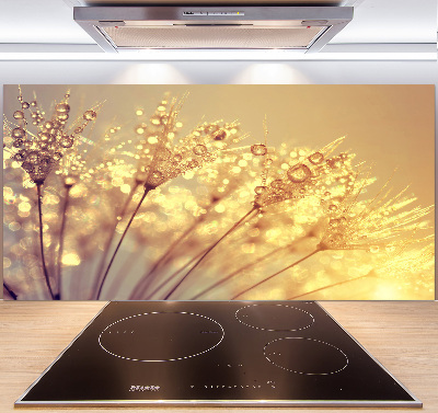 Cooker splashback Dandelion seeds