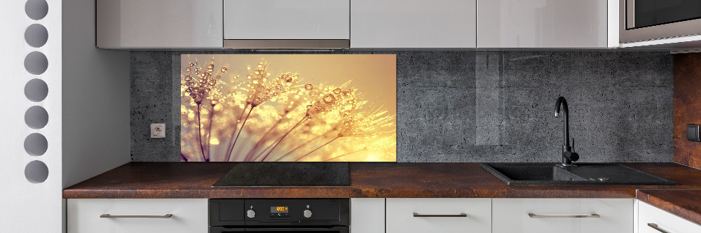 Cooker splashback Dandelion seeds