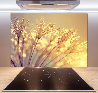 Cooker splashback Dandelion seeds