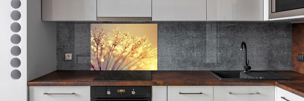 Cooker splashback Dandelion seeds