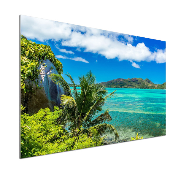 Cooker splashback Seychelles coast