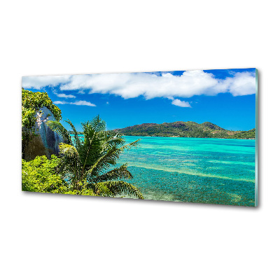 Cooker splashback Seychelles coast