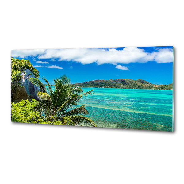 Cooker splashback Seychelles coast