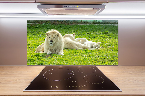 Kitchen splashback Beige lions