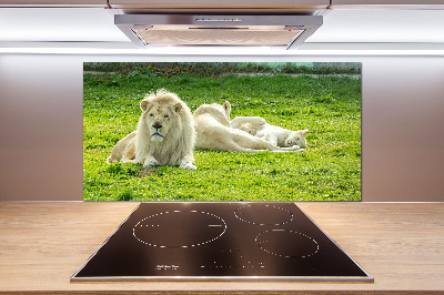 Kitchen splashback Beige lions