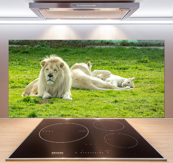 Kitchen splashback Beige lions