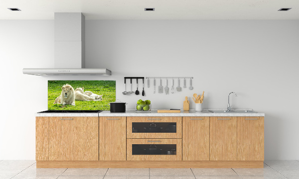 Kitchen splashback Beige lions