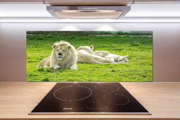 Kitchen splashback Beige lions