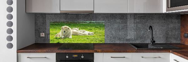 Kitchen splashback Beige lions