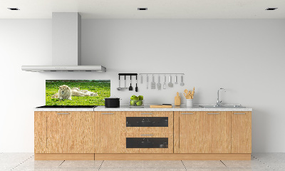 Kitchen splashback Beige lions