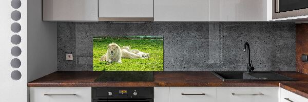 Kitchen splashback Beige lions