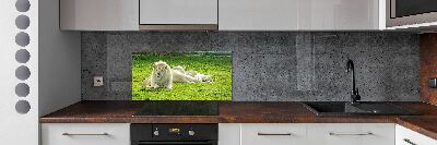 Kitchen splashback Beige lions