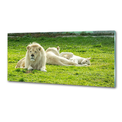 Kitchen splashback Beige lions