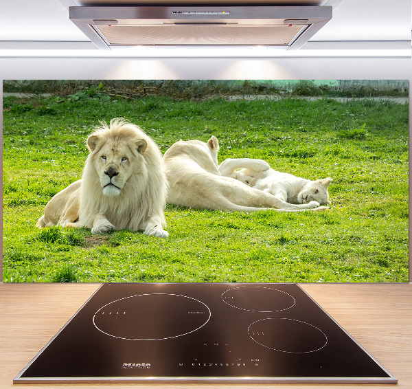 Kitchen splashback Beige lions