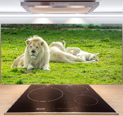 Kitchen splashback Beige lions