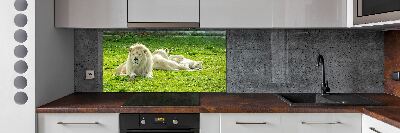 Kitchen splashback Beige lions