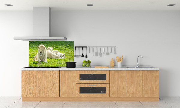 Kitchen splashback Beige lions