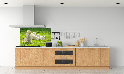 Kitchen splashback Beige lions