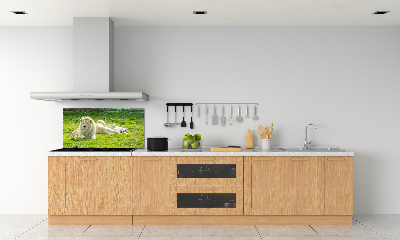 Kitchen splashback Beige lions