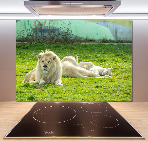 Kitchen splashback Beige lions