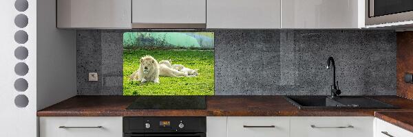 Kitchen splashback Beige lions