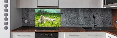 Kitchen splashback Beige lions