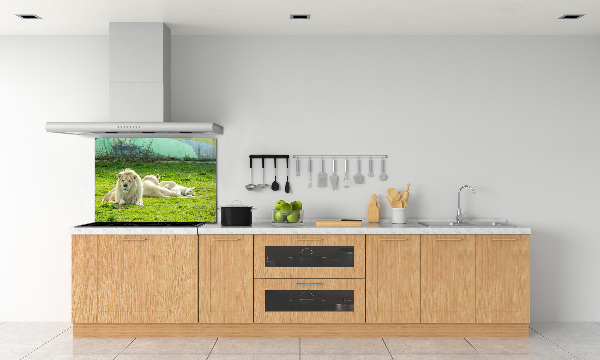 Kitchen splashback Beige lions