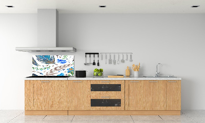 Glass splashback Feathers and flowers