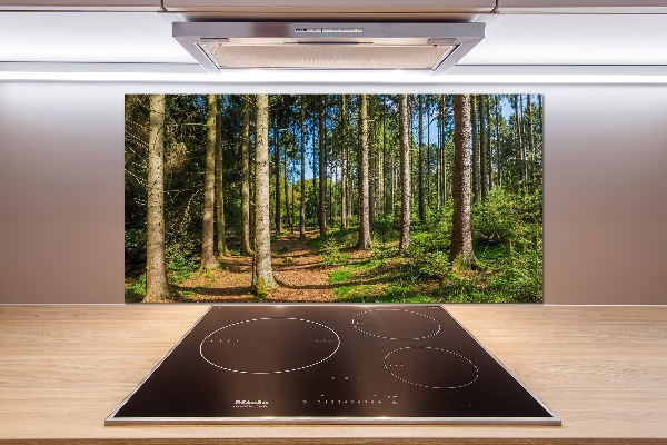 Cooker splashback Panorama of the forest