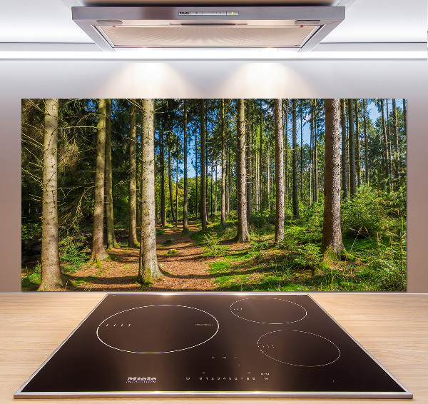 Cooker splashback Panorama of the forest