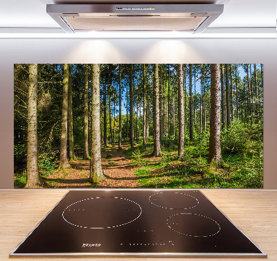 Cooker splashback Panorama of the forest