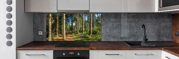 Cooker splashback Panorama of the forest