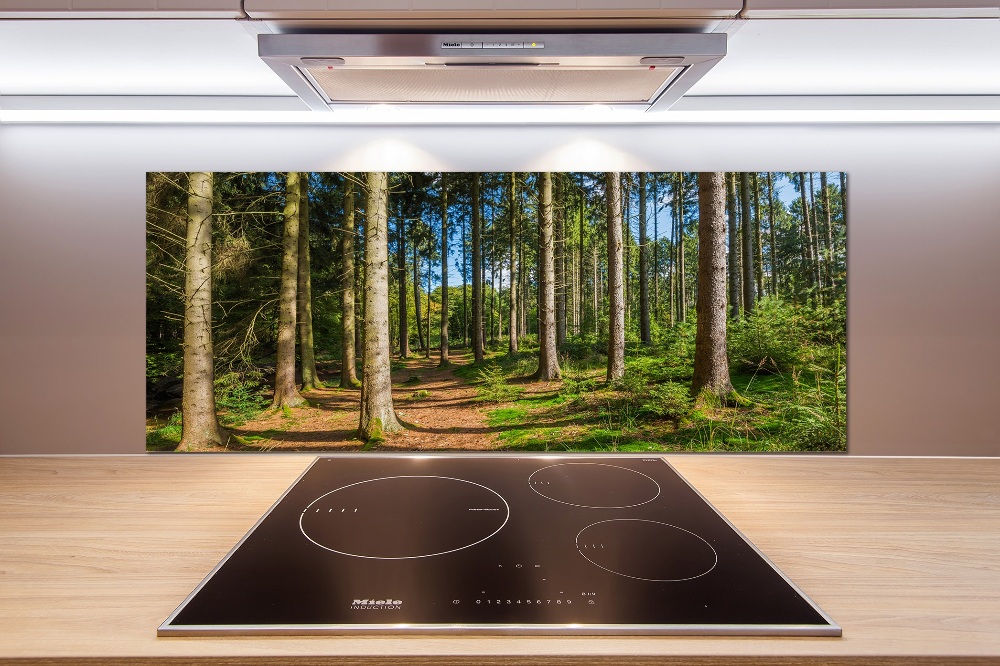 Cooker splashback Panorama of the forest