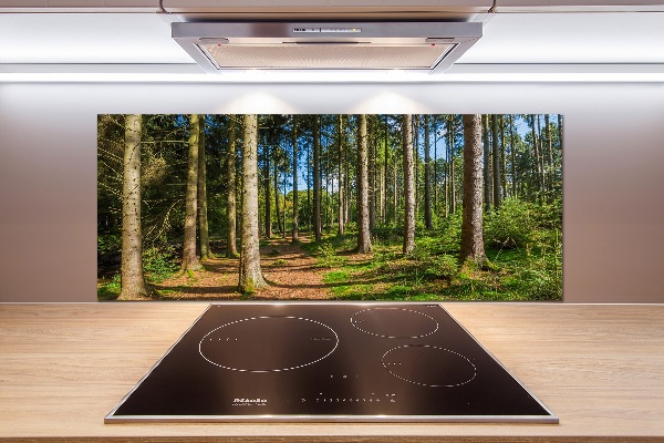 Cooker splashback Panorama of the forest