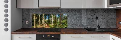 Cooker splashback Panorama of the forest