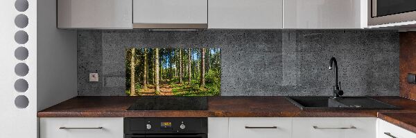 Cooker splashback Panorama of the forest