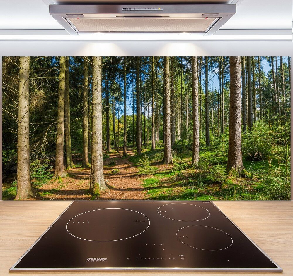 Cooker splashback Panorama of the forest