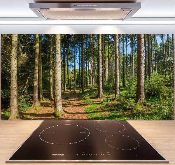 Cooker splashback Panorama of the forest