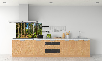 Cooker splashback Panorama of the forest