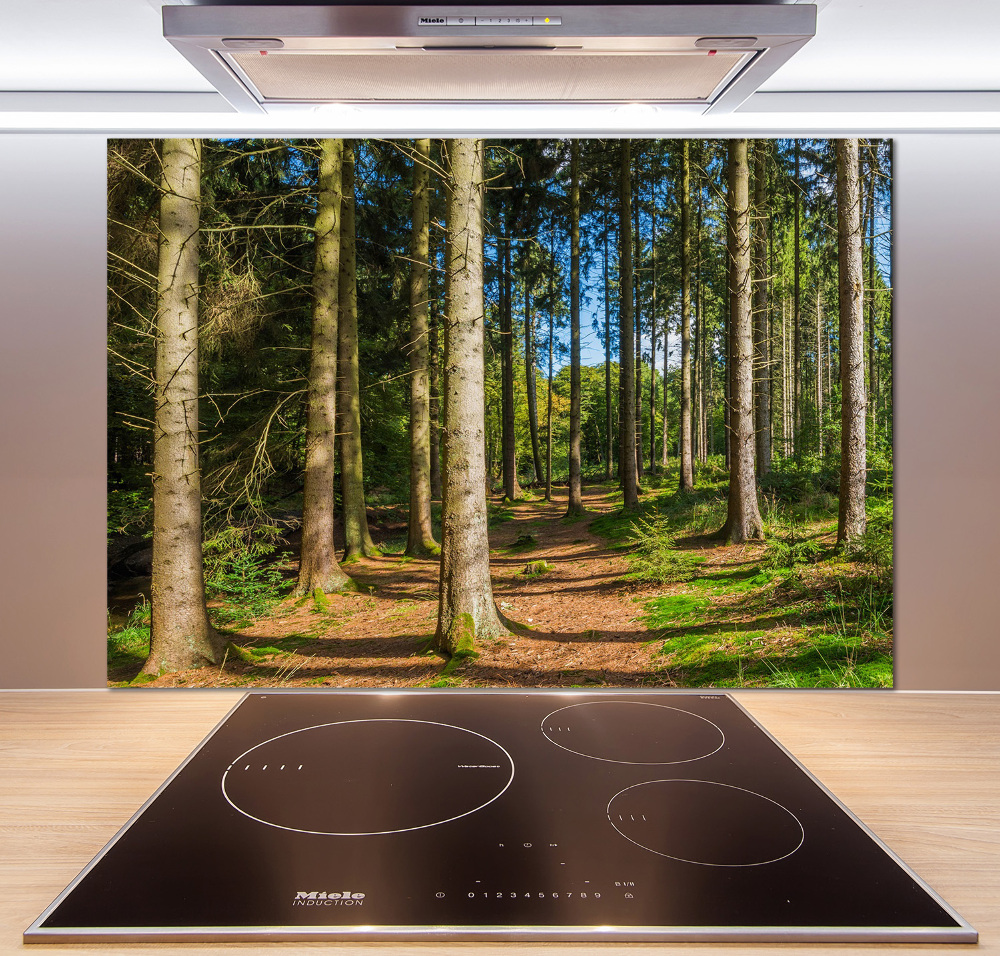 Cooker splashback Panorama of the forest