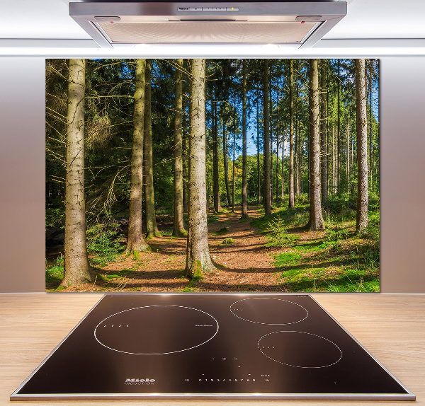 Cooker splashback Panorama of the forest