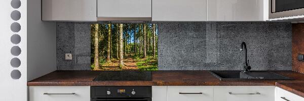 Cooker splashback Panorama of the forest